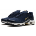 Nike Air Max TN Plus FFF