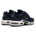 Nike Air Max TN Plus FFF
