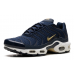 Nike Air Max TN Plus FFF