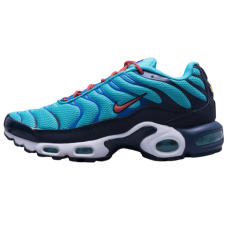 Nike Air Max TN Plus Blue
