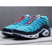 Nike Air Max TN Plus Blue