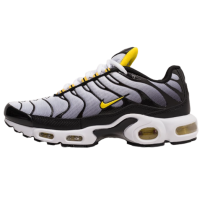 Nike Air Max Plus Black Gray